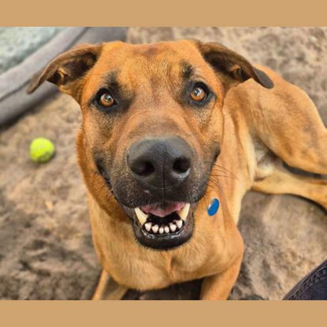 Photo of Biggie Paws