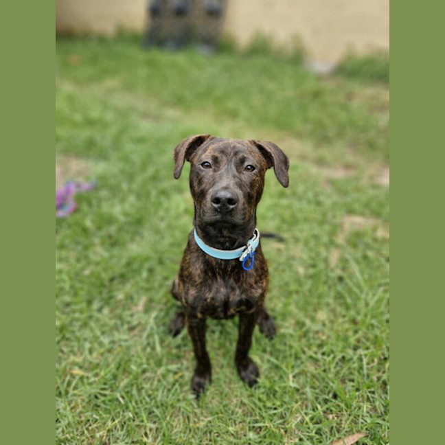 Photo of Buddy