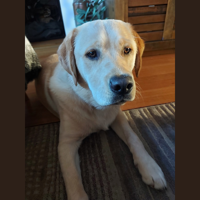 Photo of Jeffrey 'Good Boy' Jones