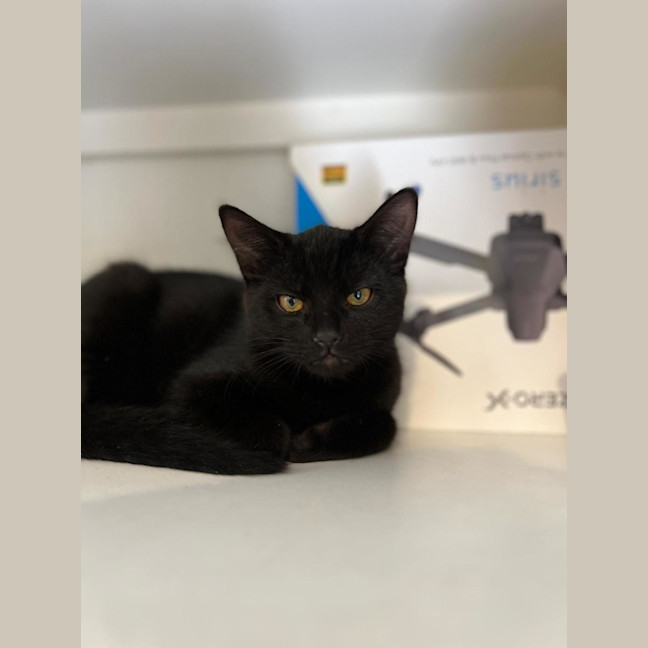 Photo of Mystic
