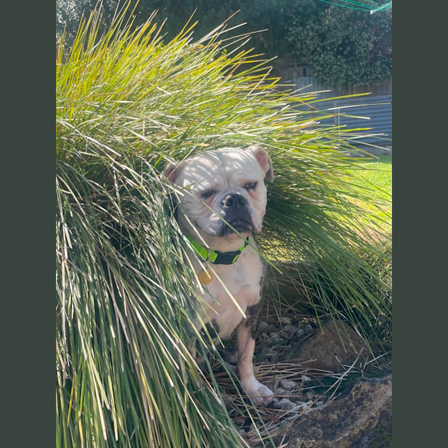 Photo of Bettina