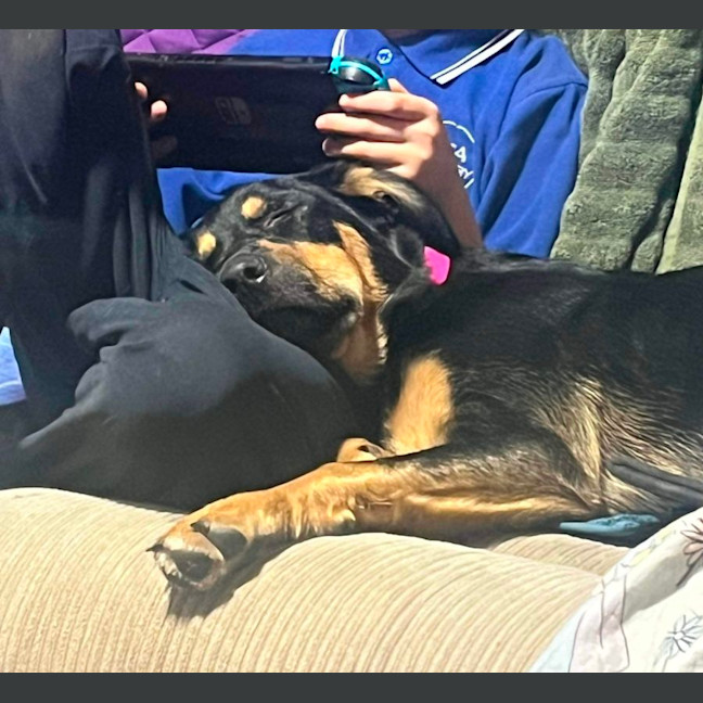 Photo of Mishka