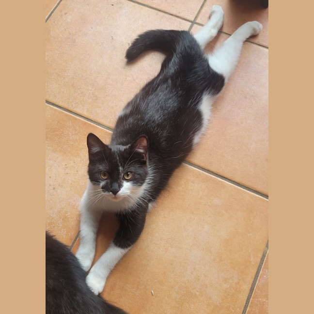 Photo of 💕 Atlas 💕