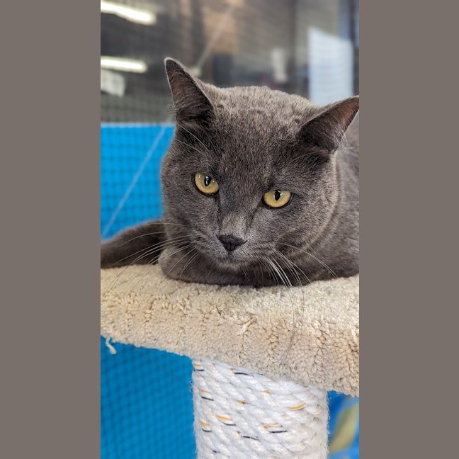 Photo of Kiriko