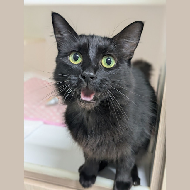 Photo of 🍓 Miriam 5923 🍓