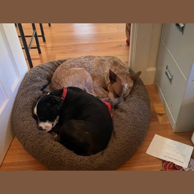 Photo of Nala Jablonksi