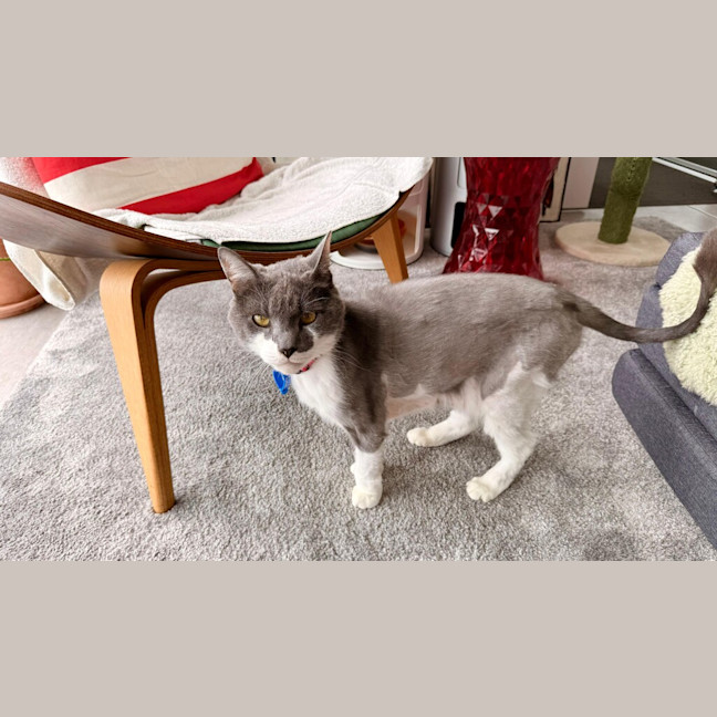 Photo of Principal Flutie 