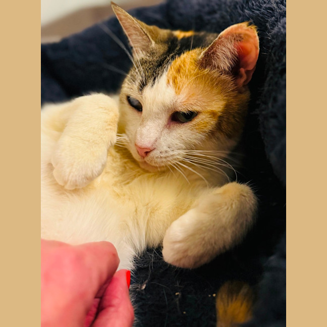 Photo of Molly