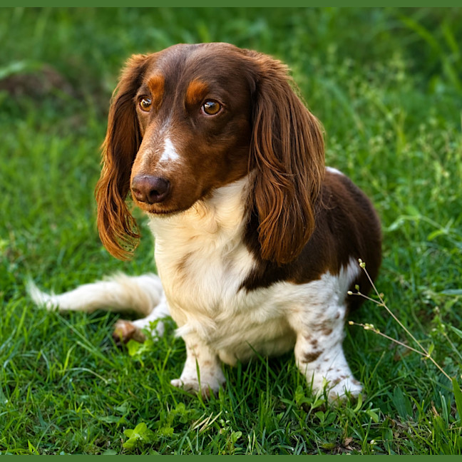 Photo of Pablo