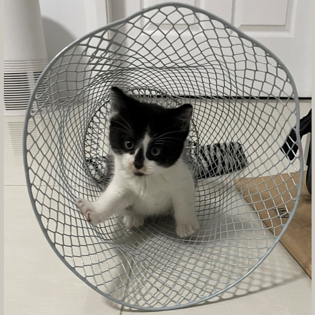 Photo of Mickey And Minnie