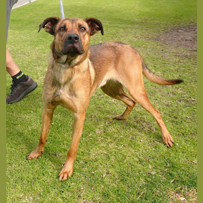 Photo of Loki