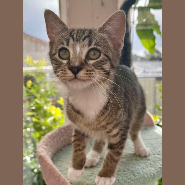 Photo of ❤️ Marlee ❤️