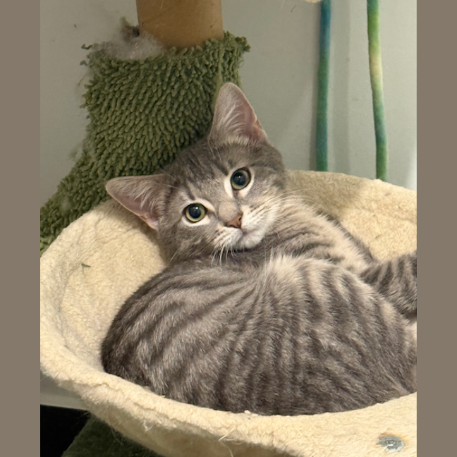 Photo of Milton