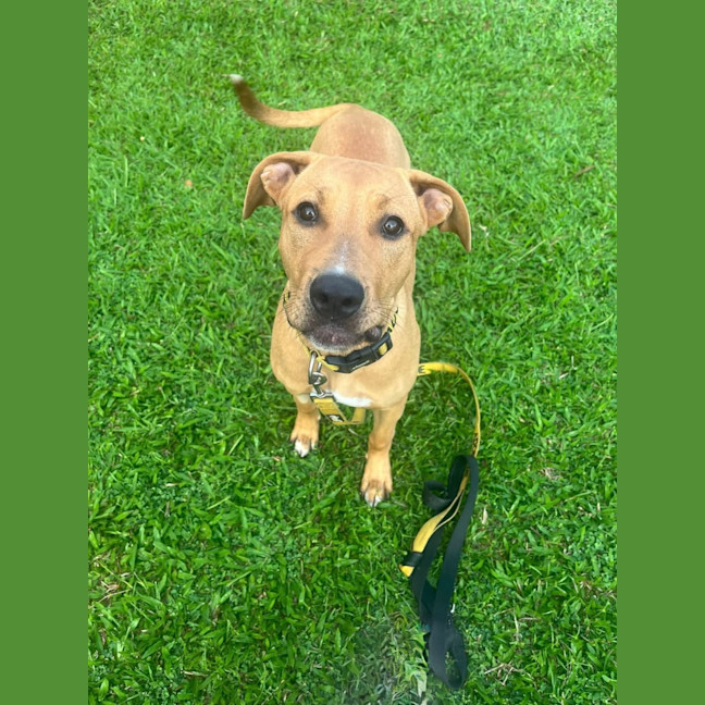 Photo of Lilly 