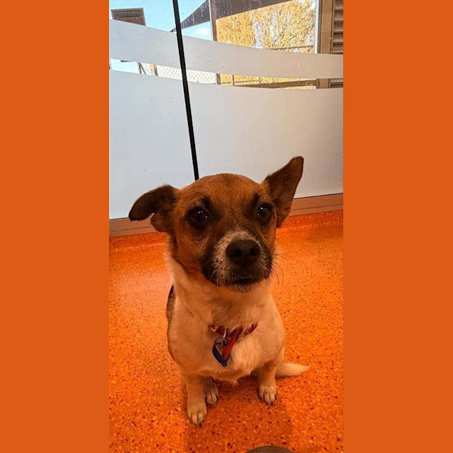 Photo of Hugo
