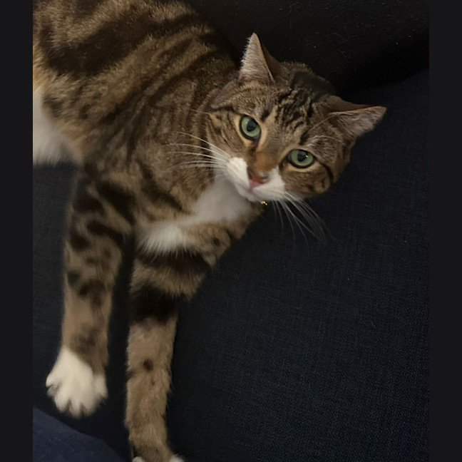 Photo of Fizz