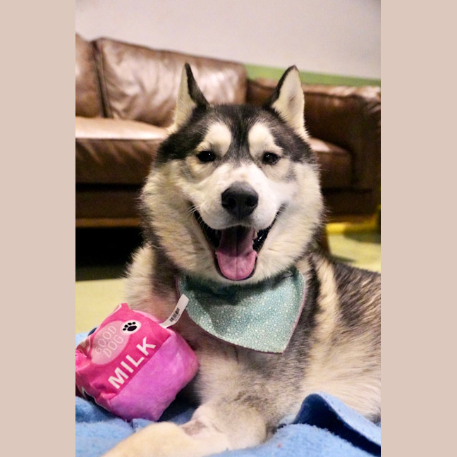 Photo of Buzz