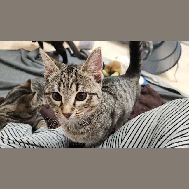 Photo of Princess