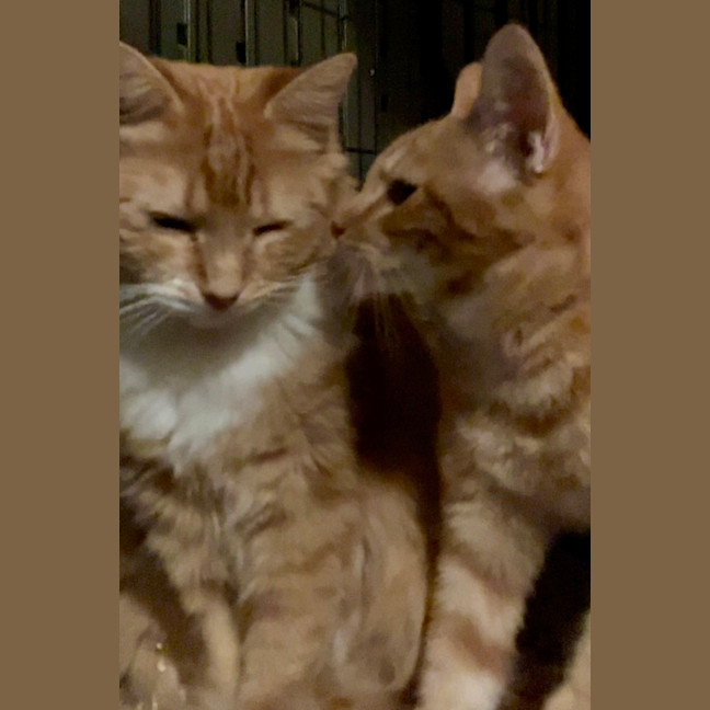 Photo of Zara And Leo