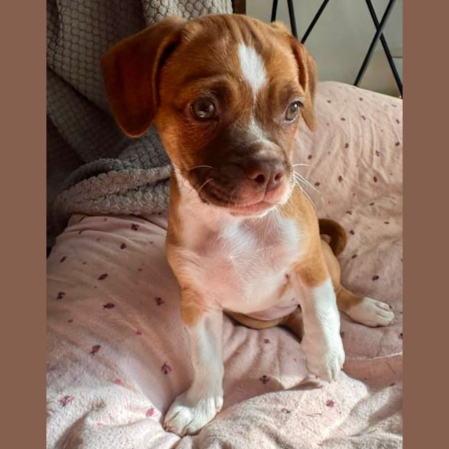 Photo of Kiki