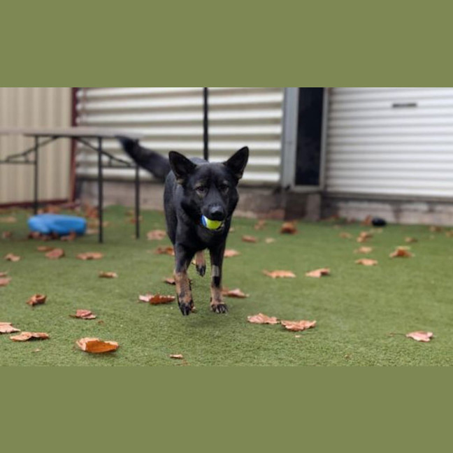 Photo of Jimmy