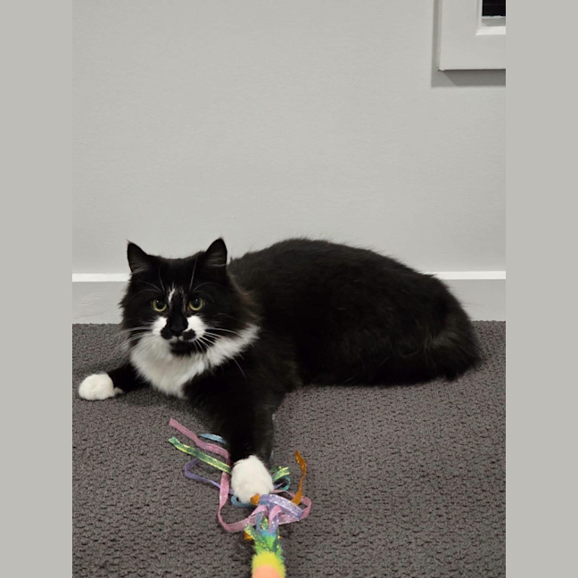 Photo of Mrs Tux