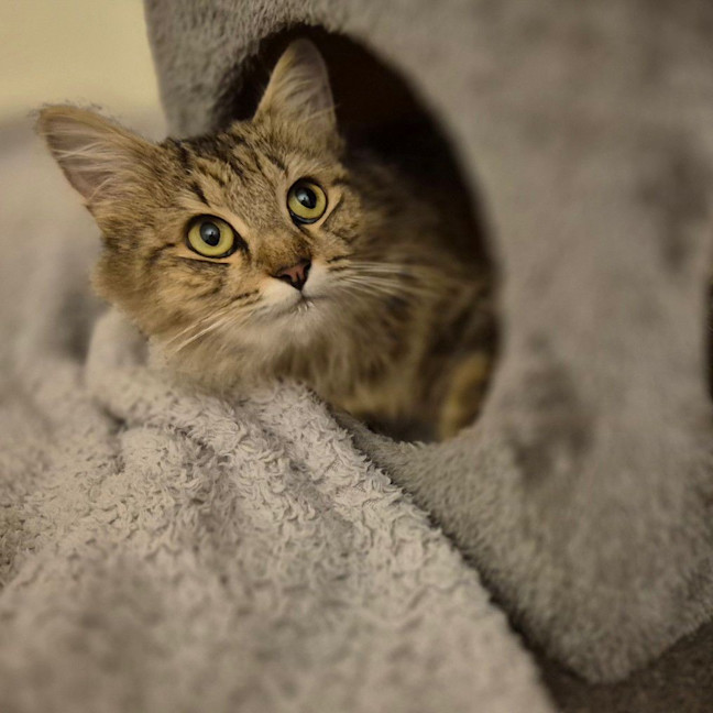 Photo of Willa
