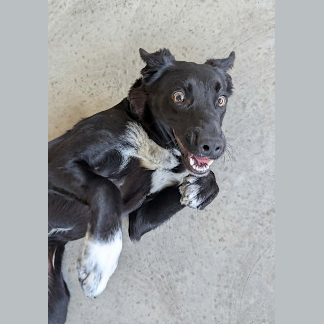 Photo of Minnie
