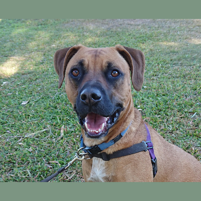 Photo of Digger