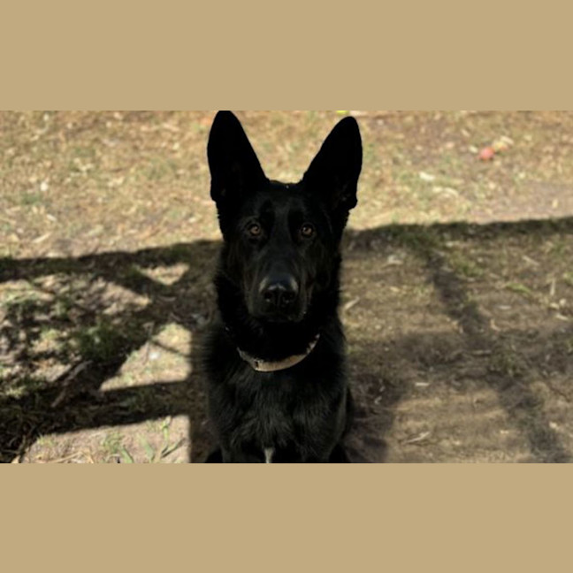 Photo of Storm