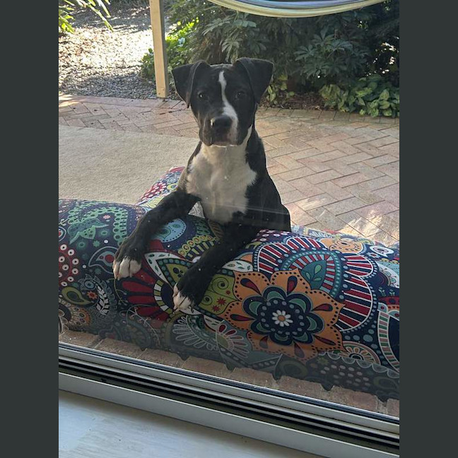 Photo of Diva