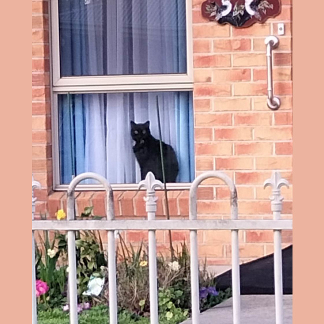 Photo of Kylo