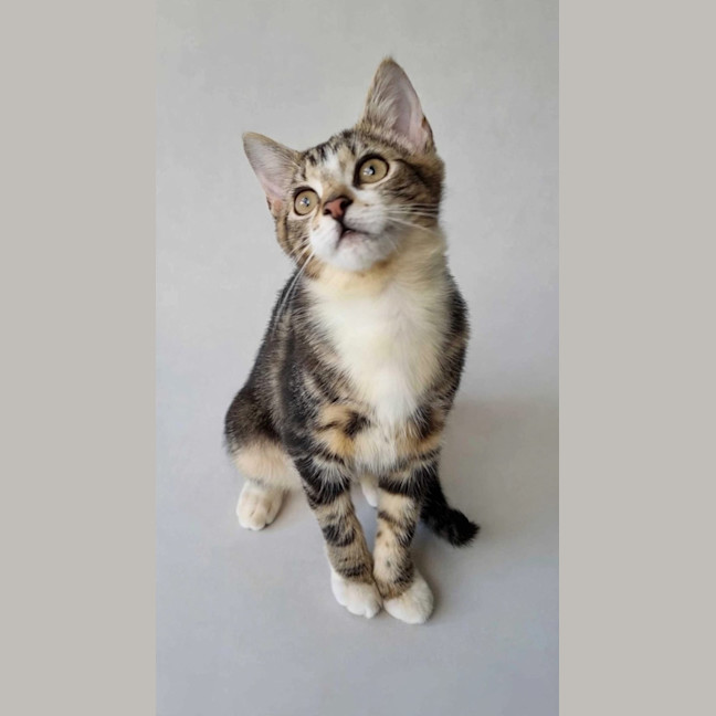 Photo of Elliette 
