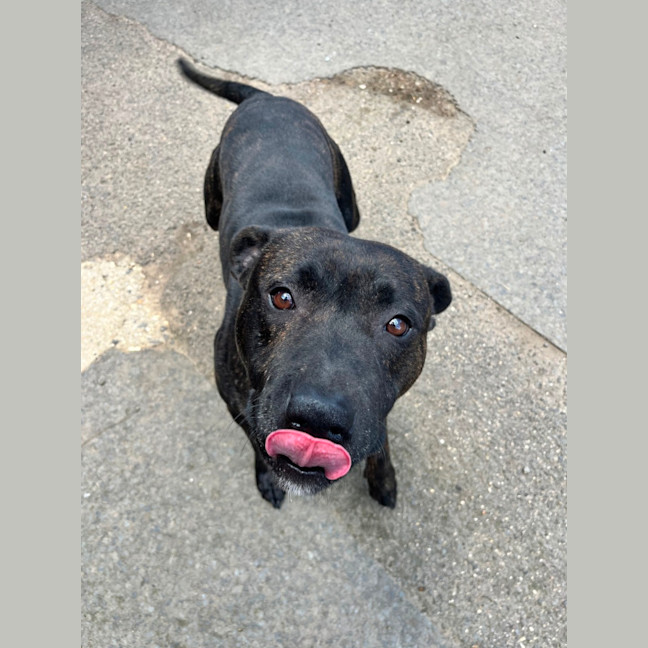 Photo of Miguel Los Santos