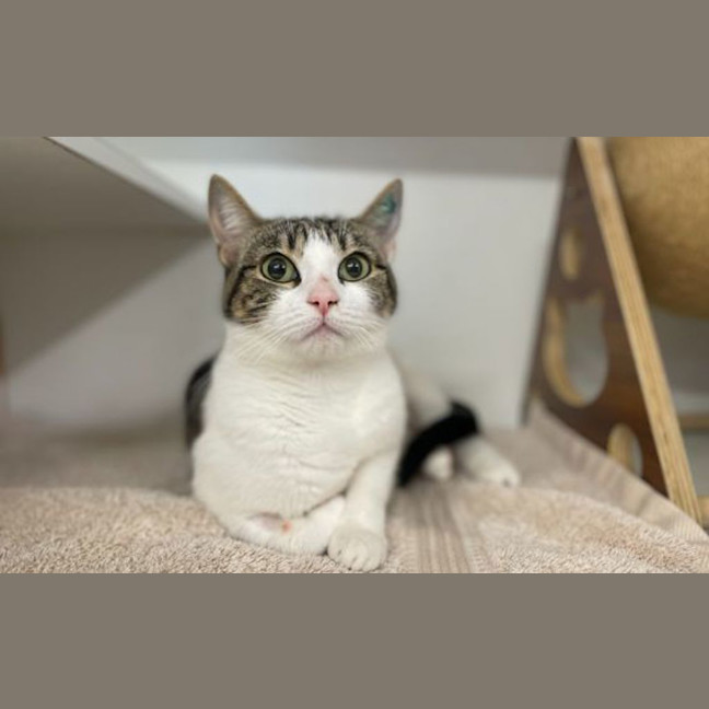Photo of Niya