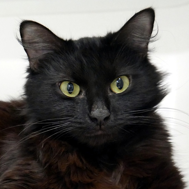 Photo of Jam Sta014098