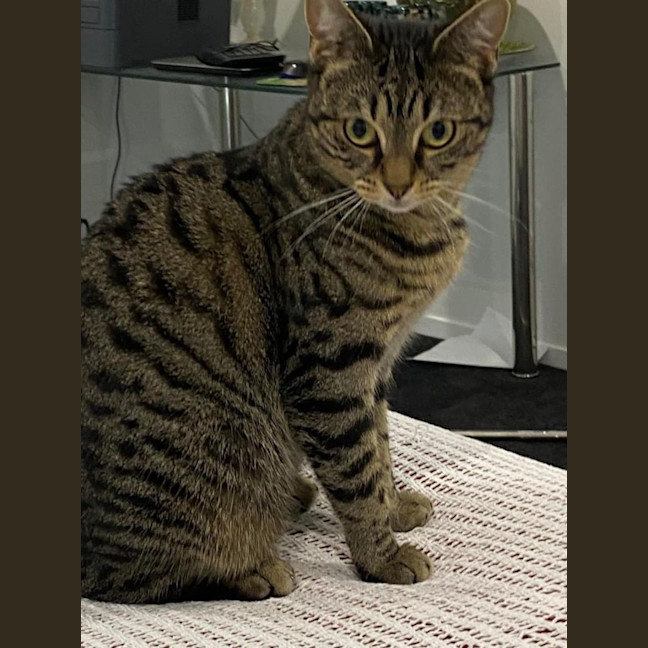 Photo of Holly