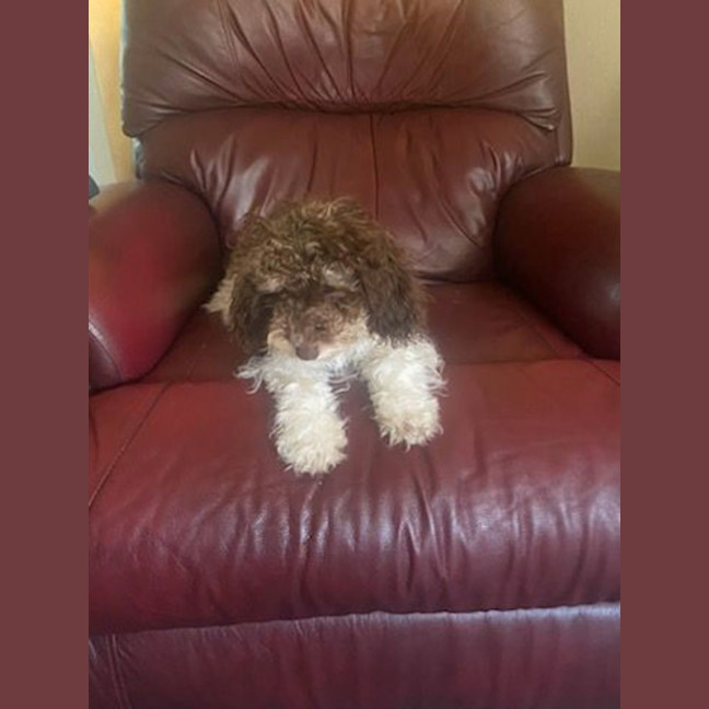 Photo of Harmony ☺️