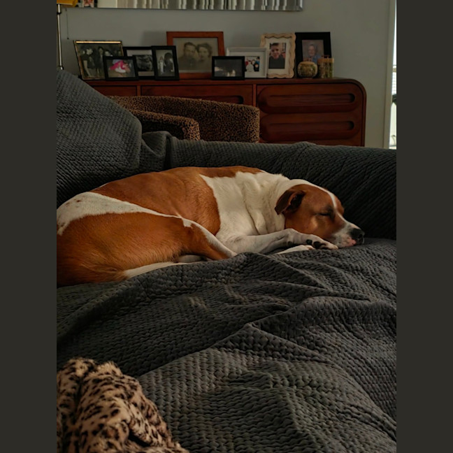 Photo of Flint