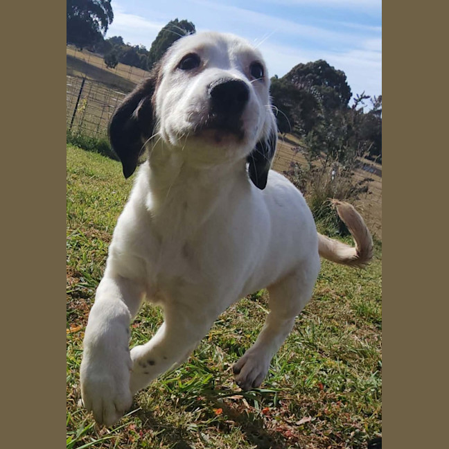 Photo of Dora