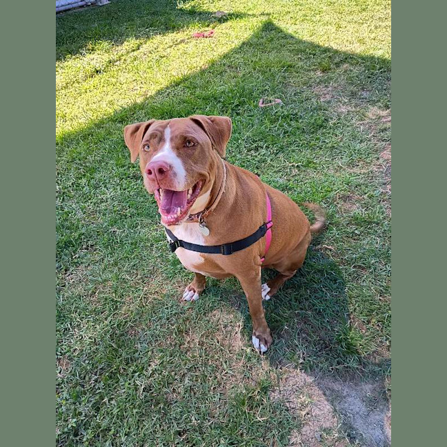 Photo of Xena