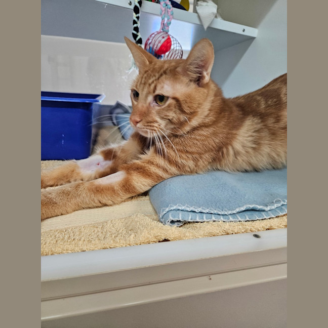 Photo of Sammy