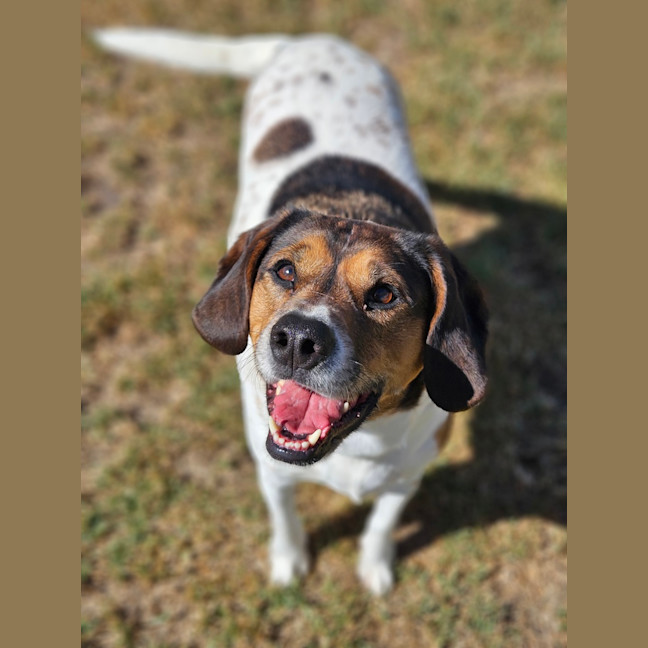 Photo of Hunter