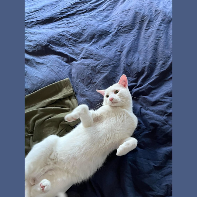 Photo of Ice