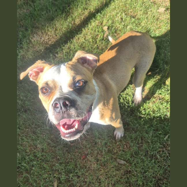 Photo of Billy