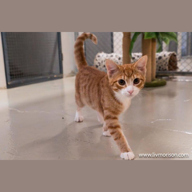 Photo of Diego Moriarty