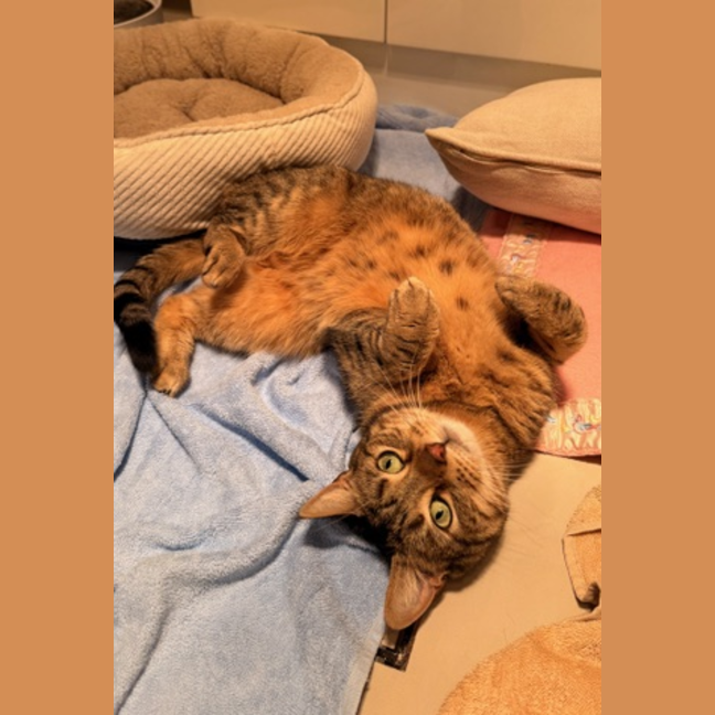 Photo of Luna