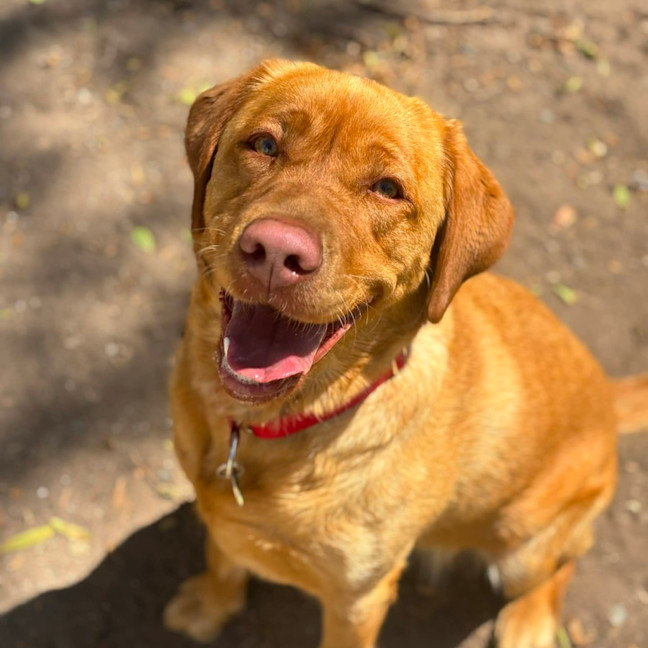 Photo of Lulu