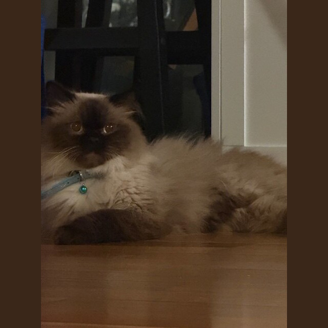 Photo of Jack