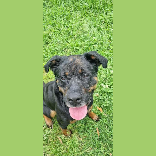 Photo of Kaiser